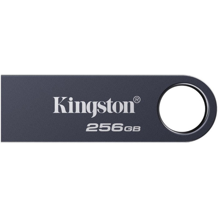 Kingston DataTraveler SE9 G3 256 GB USB 3.2 Níquel oscuro